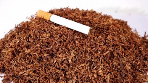 Гильзы и табак: выбор деталей для самодельных сигарет