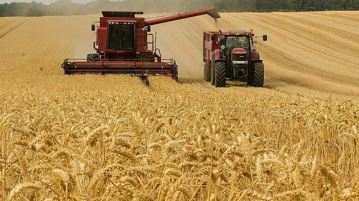 Экспорт зерновых из Украины вырос на 23%