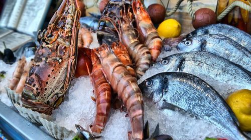 Чем полезны морепродукты?