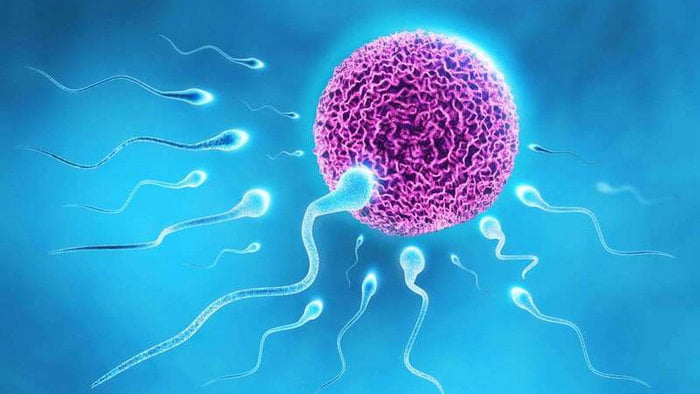 Плохая спермограмма: что делать и как лечиться?