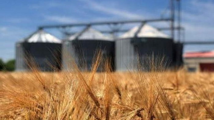 В Украине на четверть вырос агроэкспорт