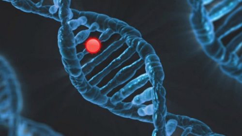 Ученые нашли ген, провоцирующий тяжелое течение коронавируса