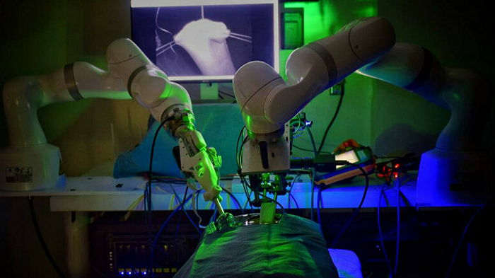 Без человека: робот провел уникальную операцию на свинье