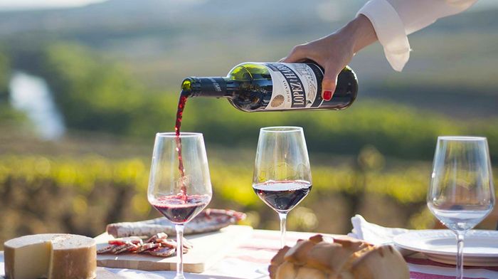 Вино из Испании: правила и секреты правильно выбора