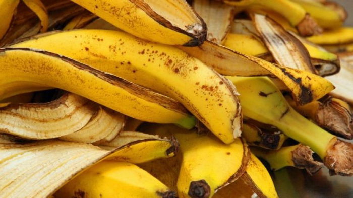 Из килограмма бананов 100 литров топлива: ученые нашли новое применение банановой кожуре