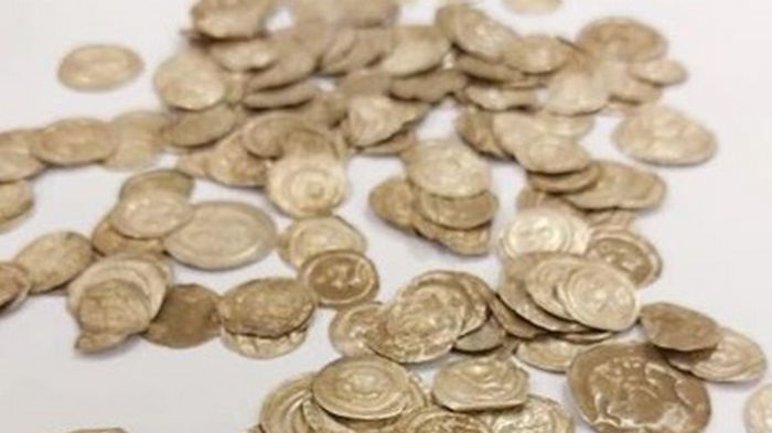 В Польше собака вырыла средневековые монеты (фото)