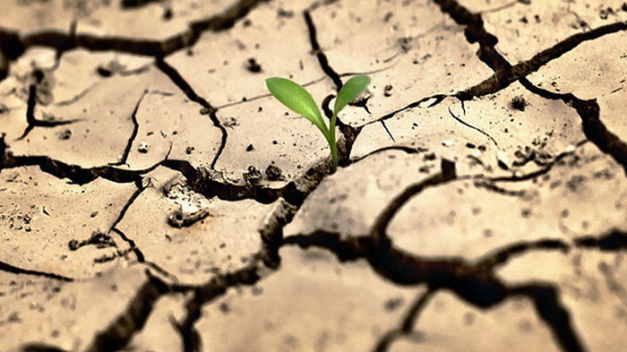 Засуха в Европе может быть худшей за последние 500 лет, — Guardian