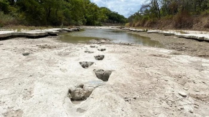В Техасе обнаружили следы динозавров, которым более 100 млн лет
