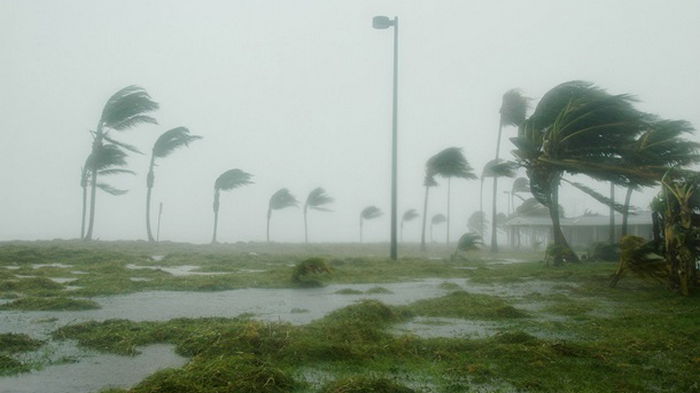 Стало известно, как изменения климата повлияют на ураганы