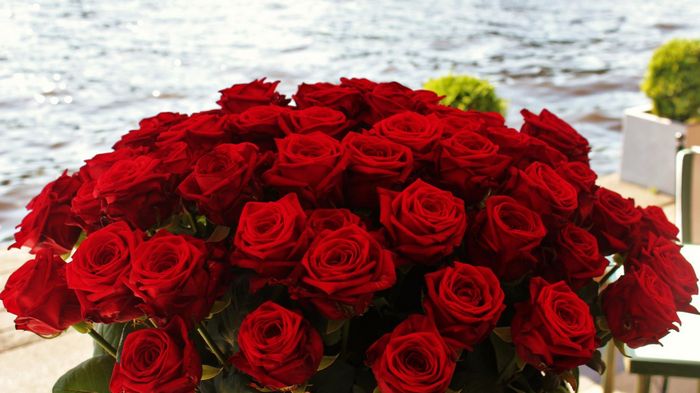 Где заказать лучшие розы в Астане?