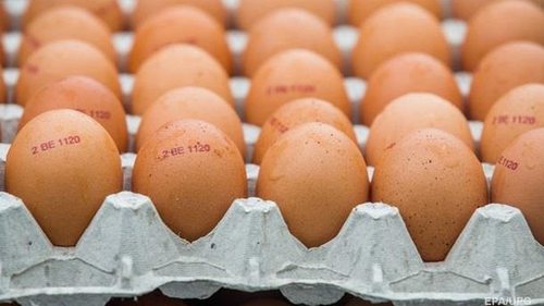 В Украине стабилизируют цены на куриные яйца — Минагрополитики
