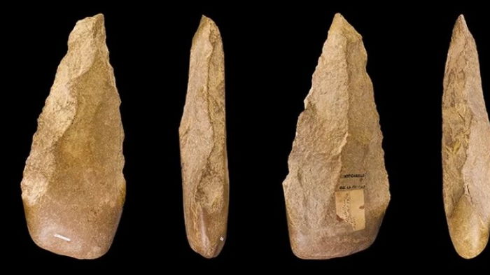 Еще до большого пальца. Предки человека взяли в руки каменные орудия 2,6 млн лет назад
