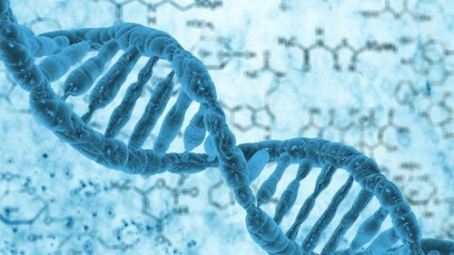 ДНК живых организмов можно собирать из воздуха, — ученые