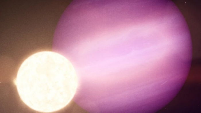 Ученые нашли газового гиганта, чудесным образом пережившего смерть своей звезды