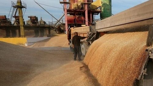 ООН закупила 60 тысяч тонн украинского зерна для Эфиопии — Минагрополи...