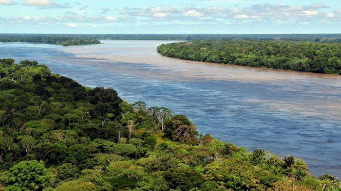 Леса Амазонки на 38% разрушены людьми — ученые