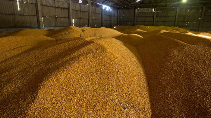 Венгрия вводит строгий контроль качества для украинского зерна