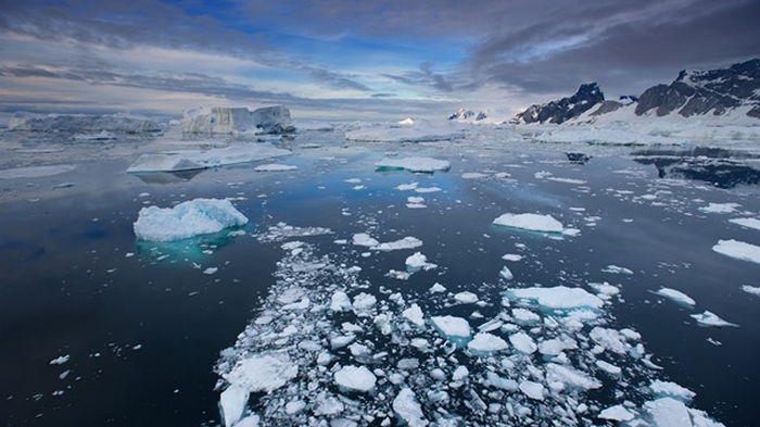 Антарктический лед достиг рекордно низкого уровня — ученые