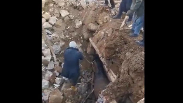 В Турции из-под завалов достали коня: он провел там 21 день