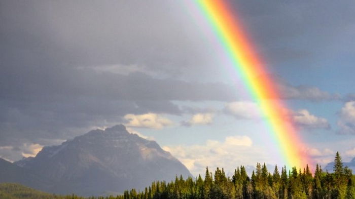 Ученые рассказали, почему мы никогда не увидим в радуге некоторые цвета