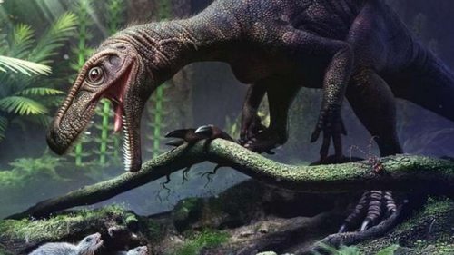 Исследователи обнаружили структуру костей динозавров, которая позволял...
