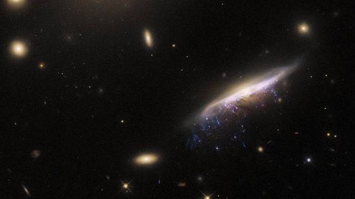 Космический телескоп «Хаббл» снял необычную галактику, похожую на медузу
