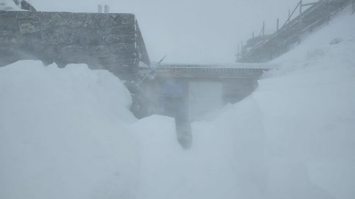 Карпаты заметает снегом. Украинцев предупредили о метели и ограниченной видимости
