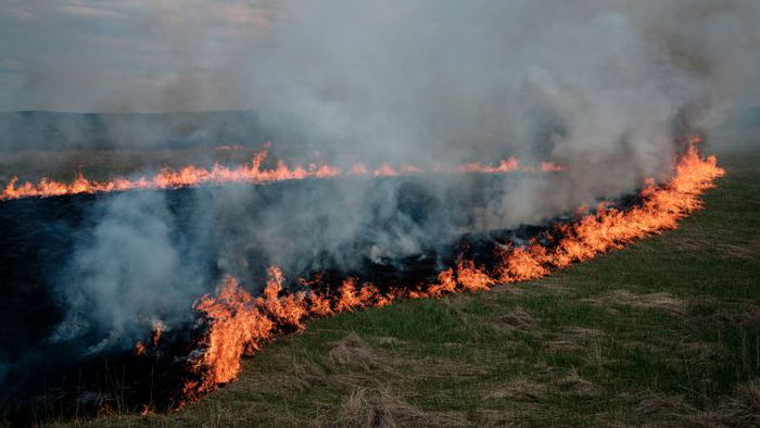 Жителей ряда областей предупредили о высокой угрозе пожаров