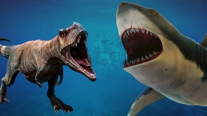 Мегалодон против T. Rex: ученые рассказали, кто победил бы в самой кровавой битве гигантов Земли