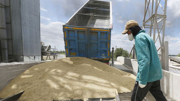 В Молдове планируют временно ограничить импорт зерна и масла из Украины