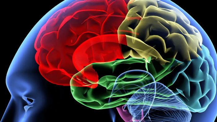 Обнаружен новый способ развития рассеянного склероза: открытие поможет в лечении болезней мозга