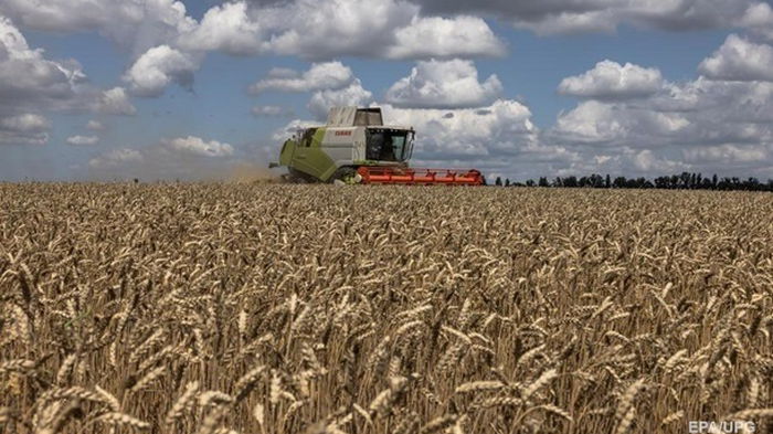 В Украине начали собирать урожай зерновых
