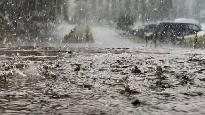 Дождь с градом и сильный ветер: какой будет погода в Украине сегодня