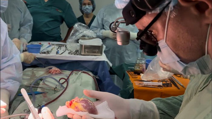 Украинские врачи впервые пересадили сердце шестилетнему ребенку
