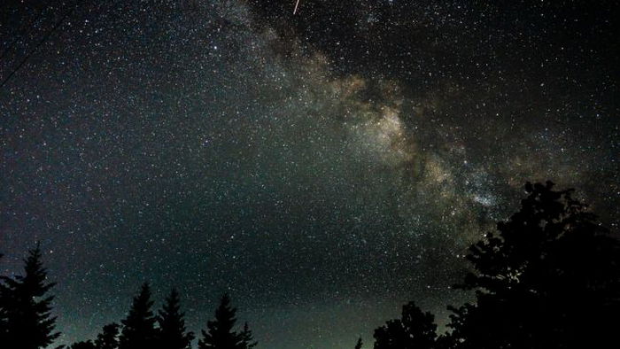 К концу лета ожидается 7 удивительных звездопадов. Вот когда ими можно насладиться (даты)