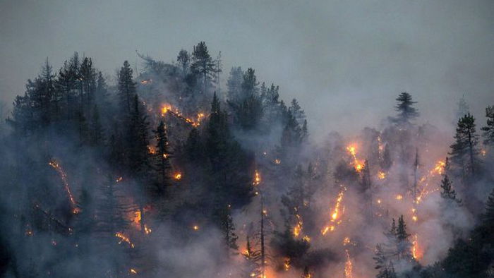 В Греции из-за масштабных лесных пожаров есть жертвы