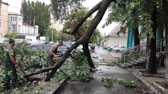 Непогода в Харькове: повалено более 100 деревьев