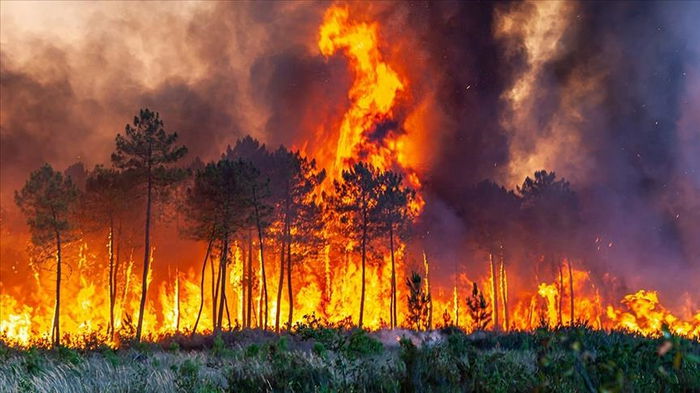 Огонь пожирает Европу: пожары в Греции — самые интенсивные и токсичные за всю историю наблюдений