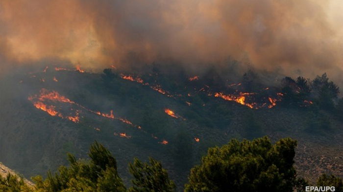 Лесные пожары в Греции: найдено 18 обгоревших тел