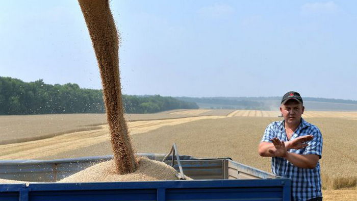 В ЕС хотят продлить запрет на импорт зерна, МИД резко отреагировал
