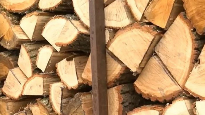 Украина накопила более 130 тыс. кубометров дров для отопительного сезона
