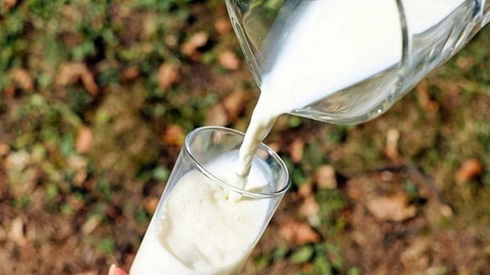 В Украине прогнозируют сокращение производства молока на 300-400 тыс. т