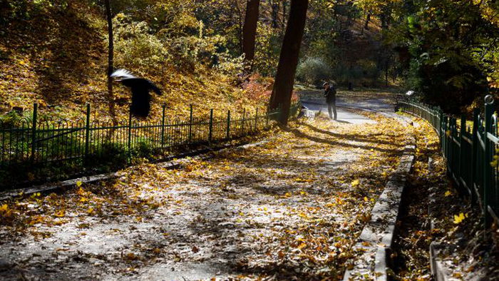 Цьогорічна осінь в Києві посіла друге місце серед найтепліших в історії