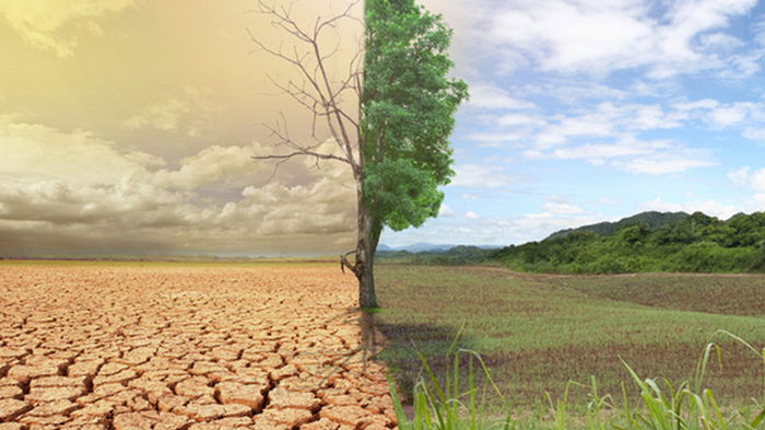 Наводнения, массовый голод и смерть отменили: почему Земля не погибнет из-за изменения климата