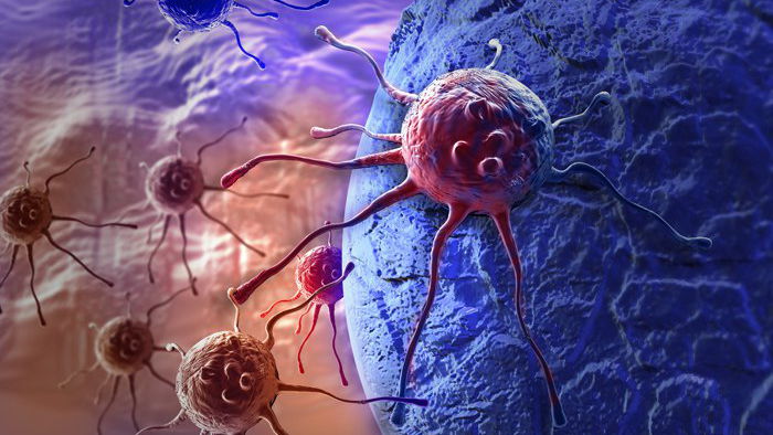 Клетки рака стали видимыми для нашей иммунной системы: ученые совершили прорыв в его лечении