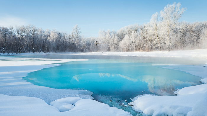 Ловушка со снижающимся кислородом и светом: как жизнь процветает в замерзшем озере