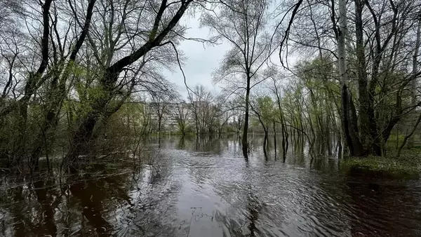 В Киеве фиксируют повышение уровня воды