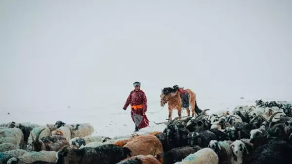 У Монголії через сувору зиму загинули майже п'ять мільйонів тварин