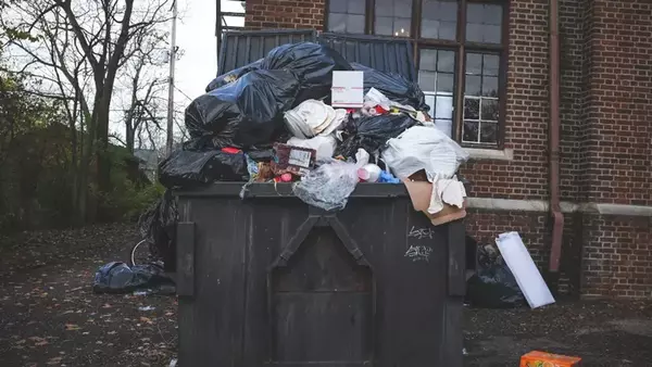 В немецком городе перестанут вывозить мусор, если жители не будут его ...