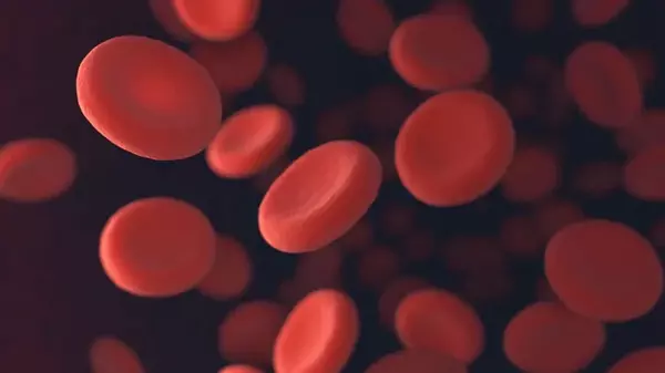 Ученые создали универсальную группу крови: она решит проблему с поиском доноров
